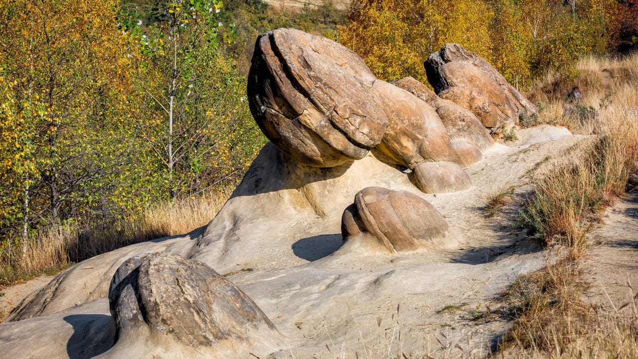 Stones that are alive? Romania's mysterious rocks grow and reproduce; discover how