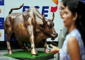 DIIs set new record with Rs 5.3 lakh-crore equities bought in 2025 so far, beats 2024 peak