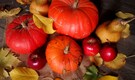 Autumn diet tips: Boost immunity, heart health, overall well-being with these 10 foods