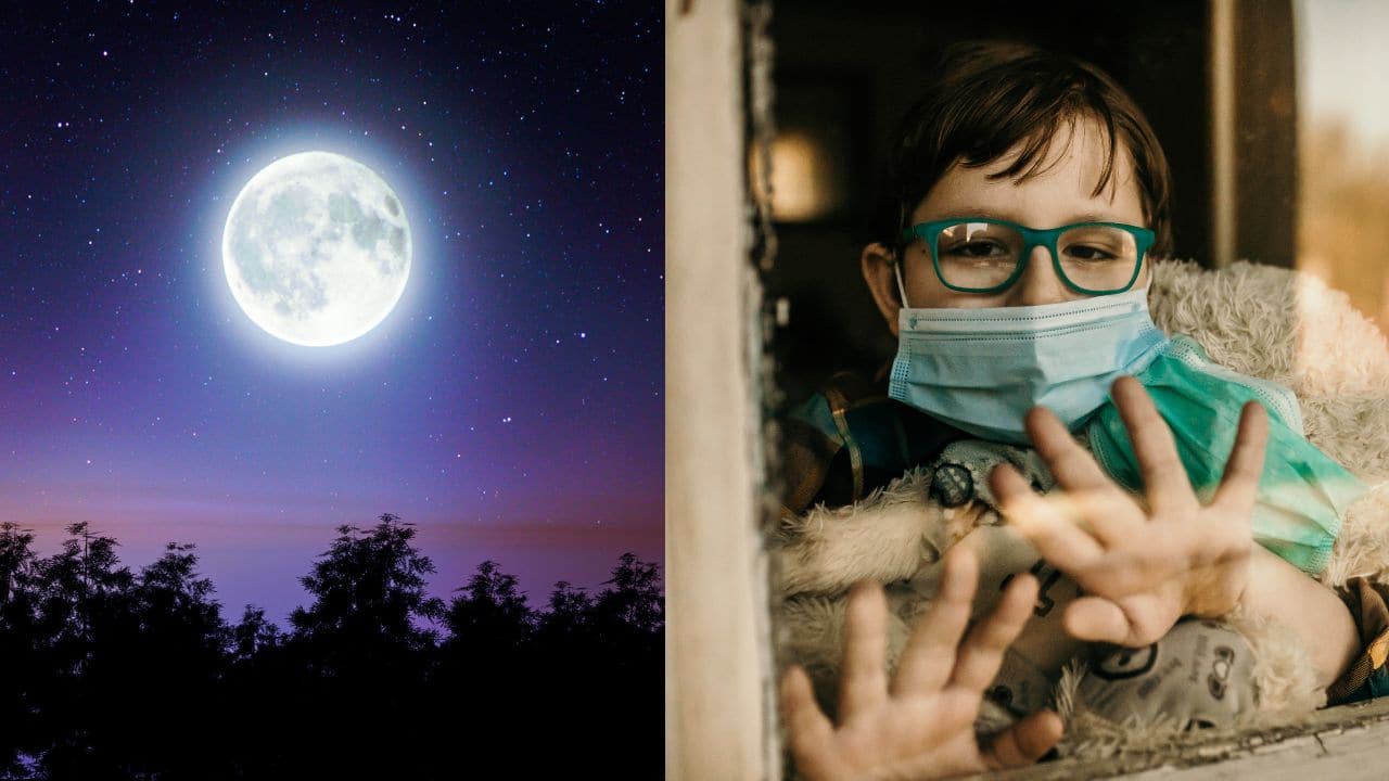 Why Moon's temperature dropped during COVID-19 lockdown; study reveals surprising findings