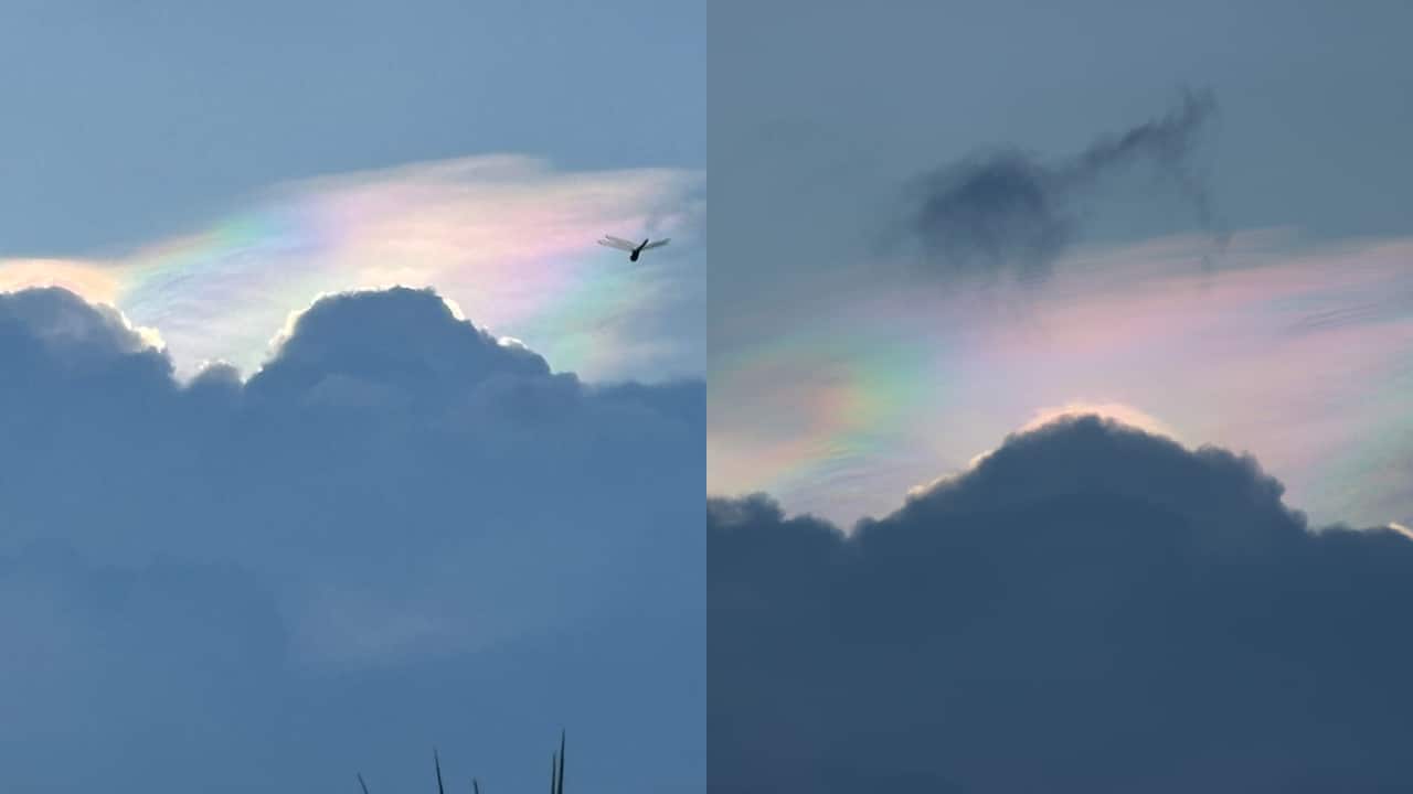 Comet that visited Earth 80,000 years ago paints Indian sky blue-pink: You still have a chance to see it; know how
