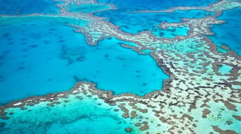 The Future of the Great Barrier Reef: Lessons from Ancient Coral Cores (Image: Canva)