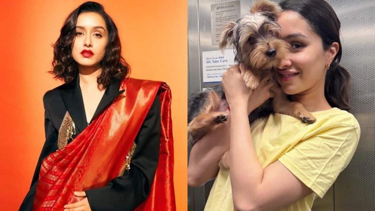 Shraddha Kapoor celebrates Stree 2 success this Navaratri