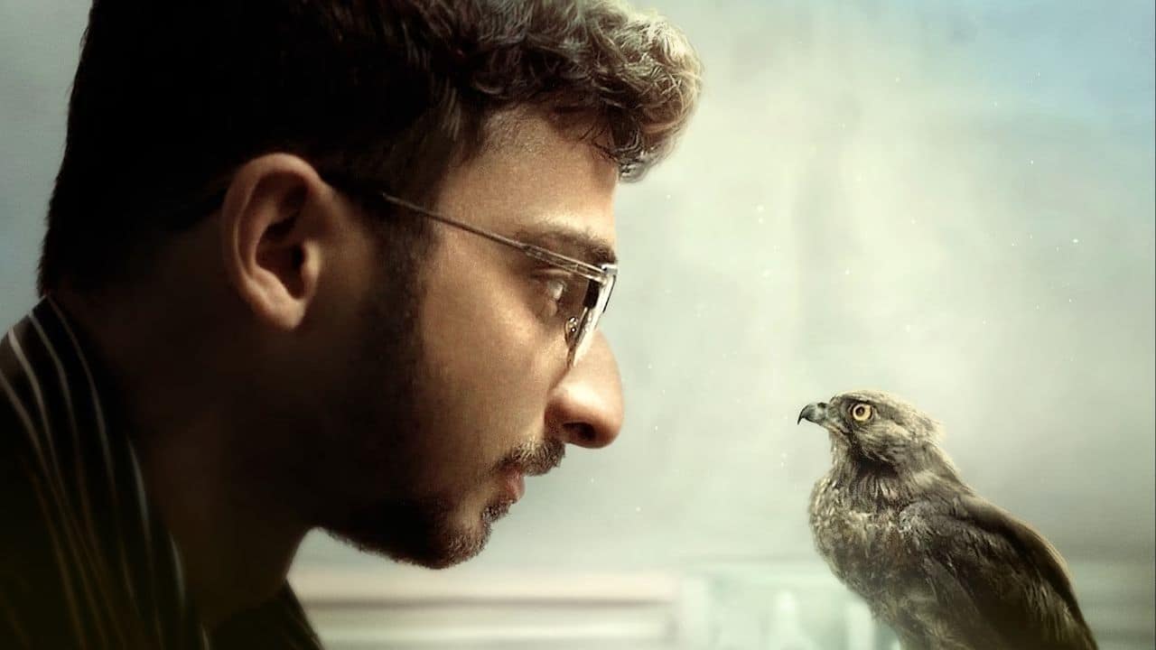 Shaunak Sen, the director of the Oscar-nominated documentary "All That Breathes", will serve as the jury head for the 19th edition of Tasveer Film Festival