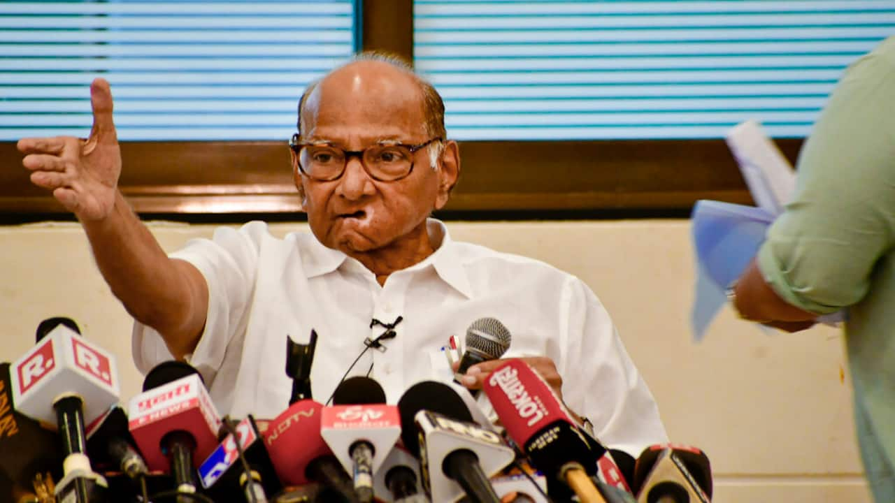 Will Haryana Poll Results Impact Maharashtra Elections? Sharad Pawar ...