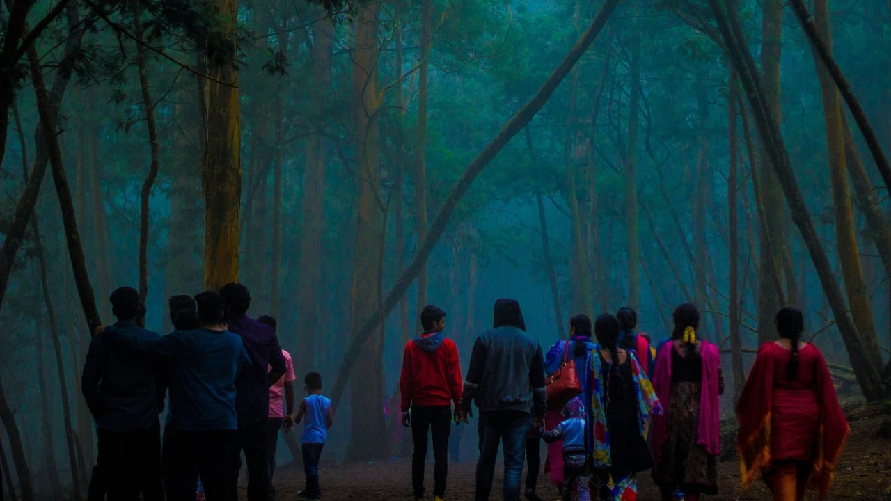 Plan Your Visit To fully appreciate the beauty and history of Guna Caves, plan your visit wisely. The ideal time to explore Guna Caves is from April to June, when clear skies and pleasant weather create perfect conditions for hiking and outdoor activities.Remember to wear sturdy footwear, carry sufficient water, and, if possible, hire a local guide to enhance your exploration experience. (Image: Unsplash)