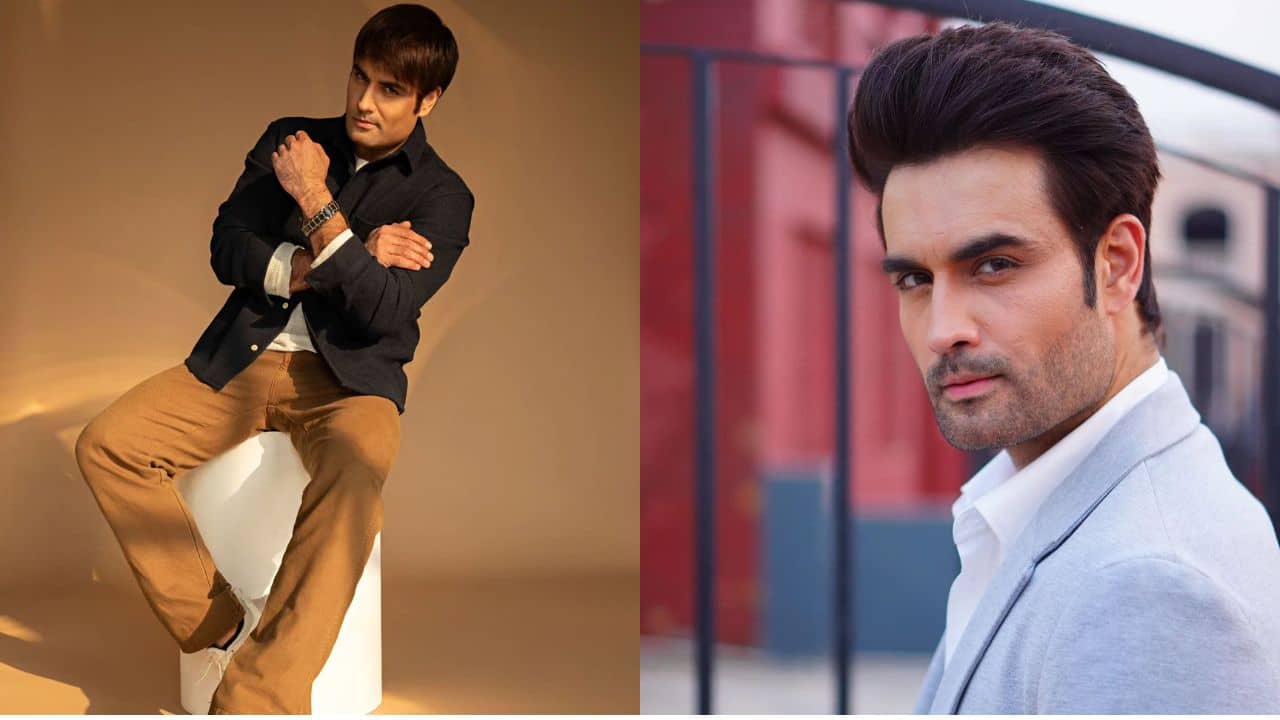 Bigg Boss 18: All you need to know about contestant Vivian Dsena
