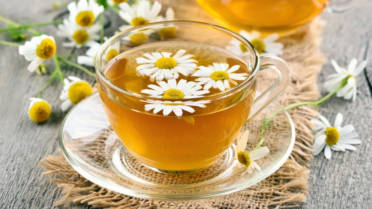Chamomile tea: Chamomile tea offers anti-inflammatory and antispasmodic benefits that can help soothe the digestive system. Drinking chamomile tea can reduce bloating by calming the muscles of the intestines and reducing spasms. (Image: Canva)
