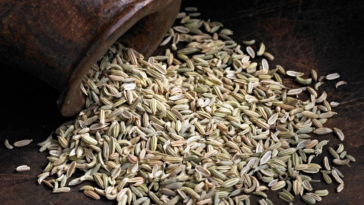 Fennel seeds: Fennel seeds are beneficial for reducing bloating due to their carminative properties. Chewing fennel seeds or drinking fennel tea helps relax the gastrointestinal muscles, promoting the expulsion of gas and relieving bloating. (Image: Canva)