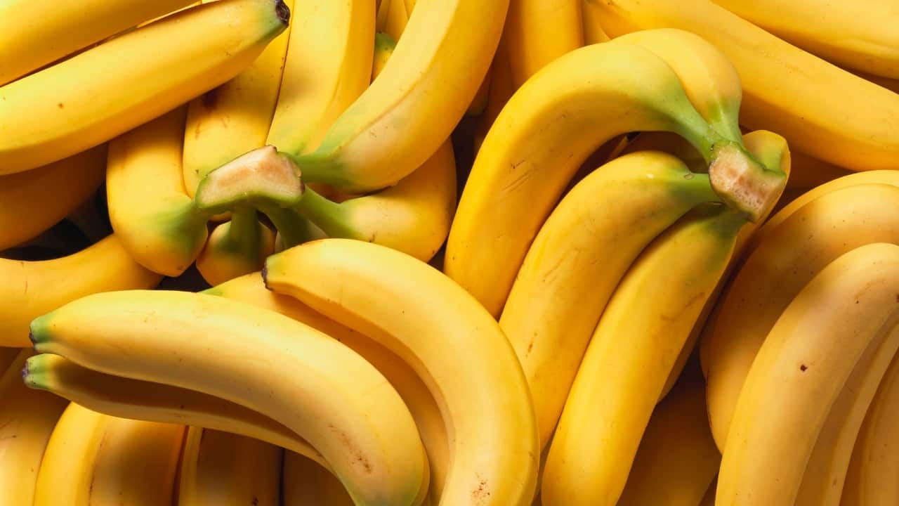 Bananas: bananas are rich in potassium, a mineral that helps regulate sodium levels in the body. High sodium levels can cause water retention and bloating. Eating bananas can help balance sodium levels, reducing water retention and bloating. (Image: Canva)