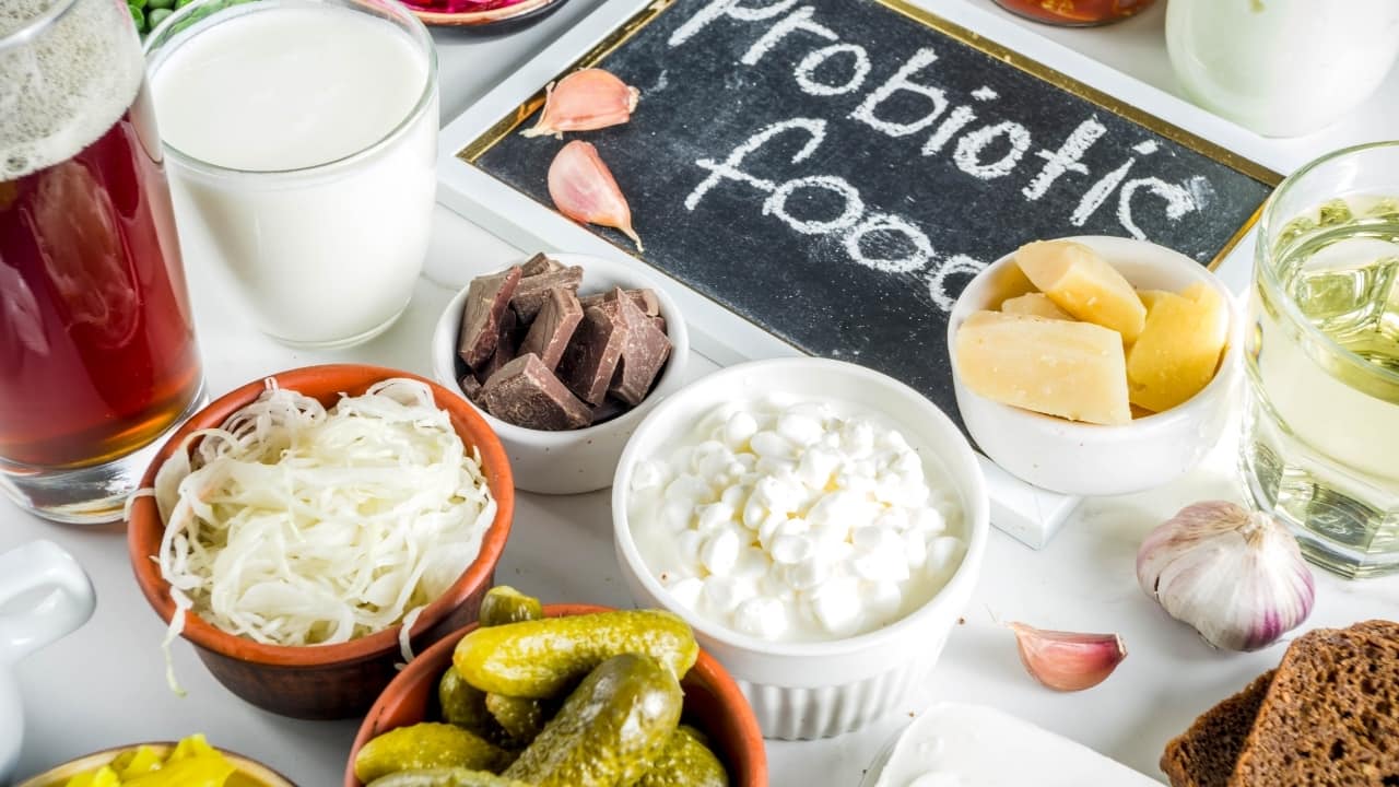 Probiotics: Probiotics are beneficial bacteria that help balance the gut microbiome, improving digestive health. Consuming probiotic-rich foods like yoghurt and kefir, or taking supplements, can enhance digestion and reduce bloating. (Image: Canva)