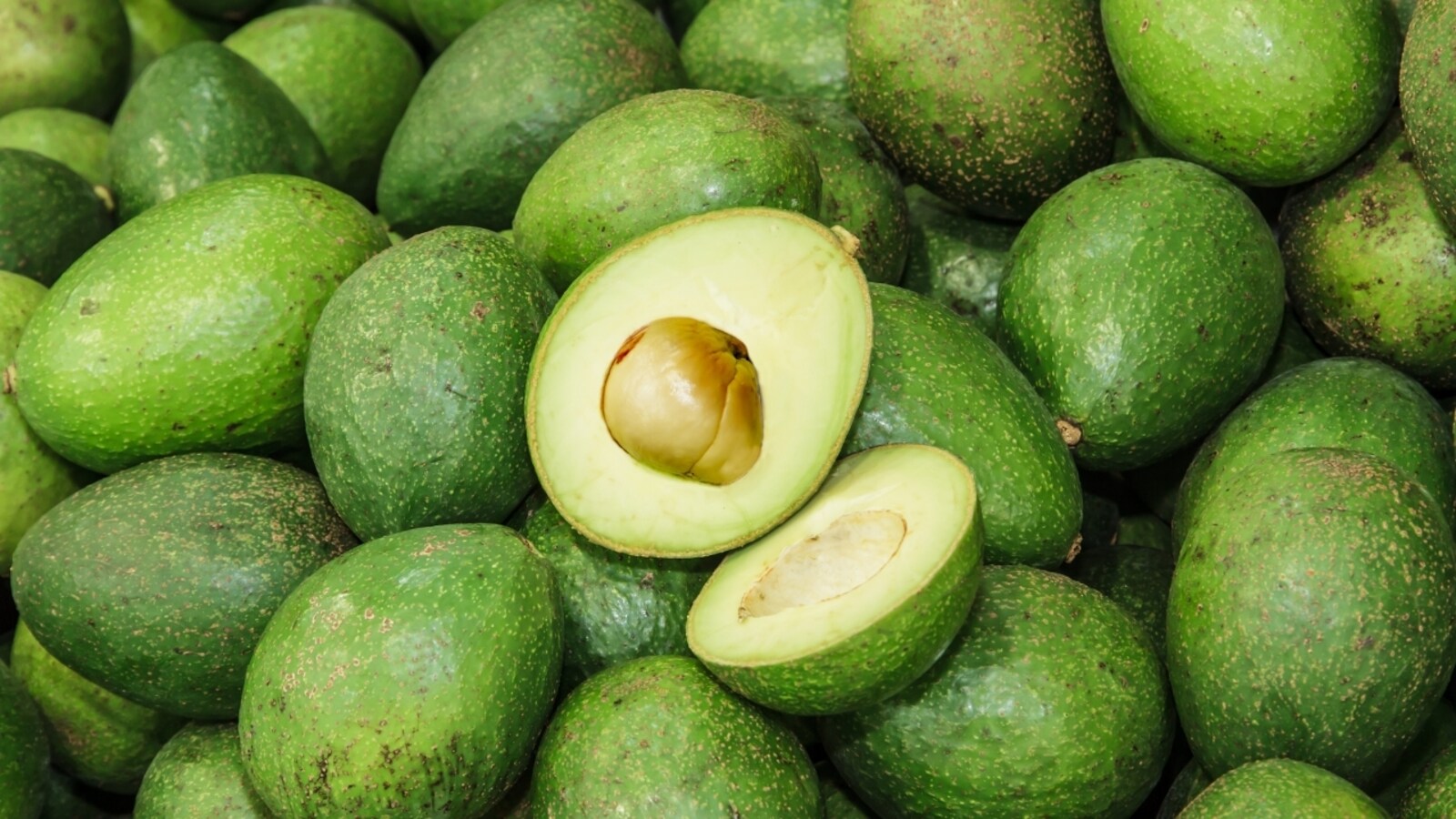 Health benefits of avocado: Superfood to boost brain health, manage weight,  reduce wrinkles