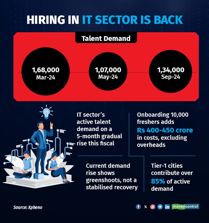Hiring in IT sector, startups is back