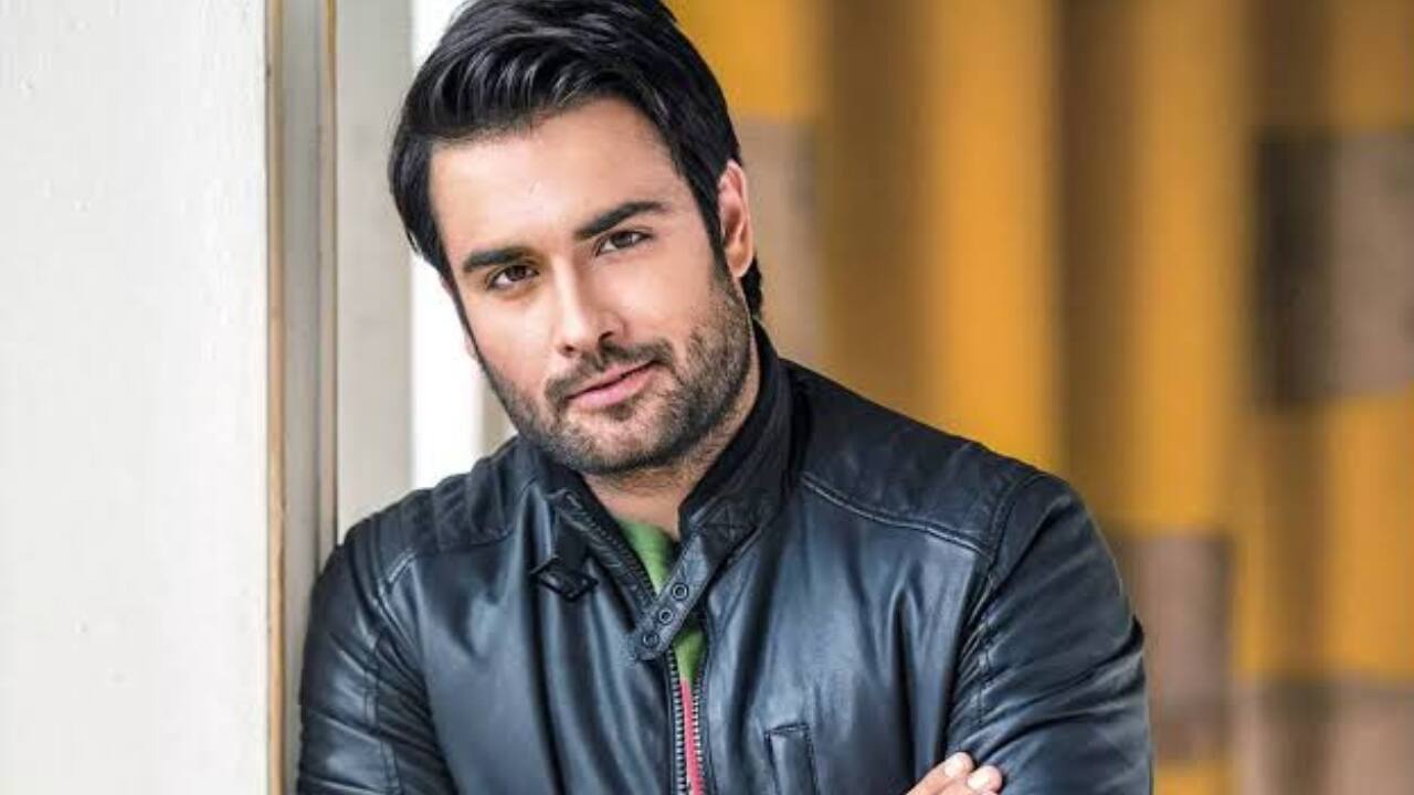 Bigg Boss 18: Vivian Dsena confesses he’s never watched Bigg Boss, says has no ‘survival plan’
