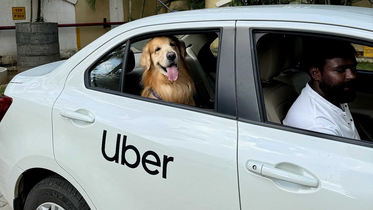 Car Do Uber Drivers Allow Pets Discount Does Uber Allow Dogs In
