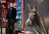 Bigg Boss 18 eviction: Gadhraj the Donkey removed following PFA's animal welfare complaints