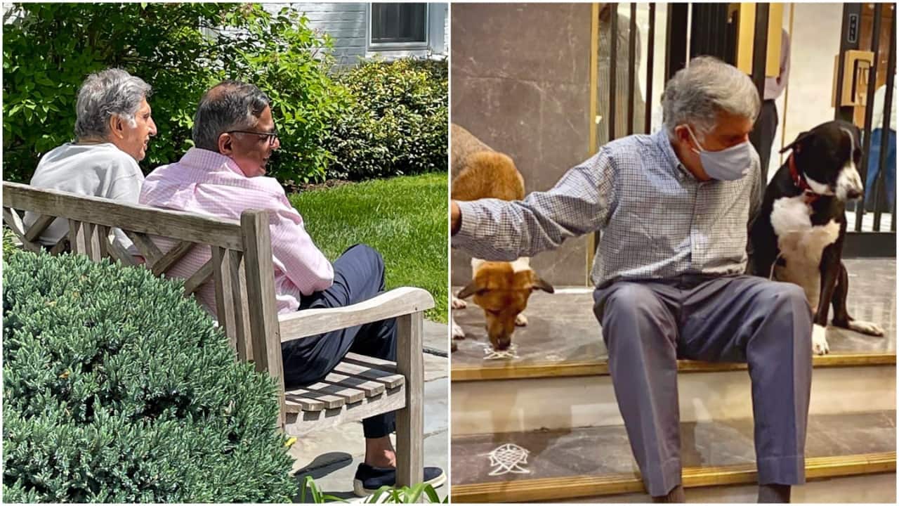 N Chandrasekaran recalls Ratan Tata's concern with Tata HQ renovation: 'Where will the dogs go?'