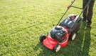 Gardening tips: Here's how to prepare your lawn for the upcoming winter
