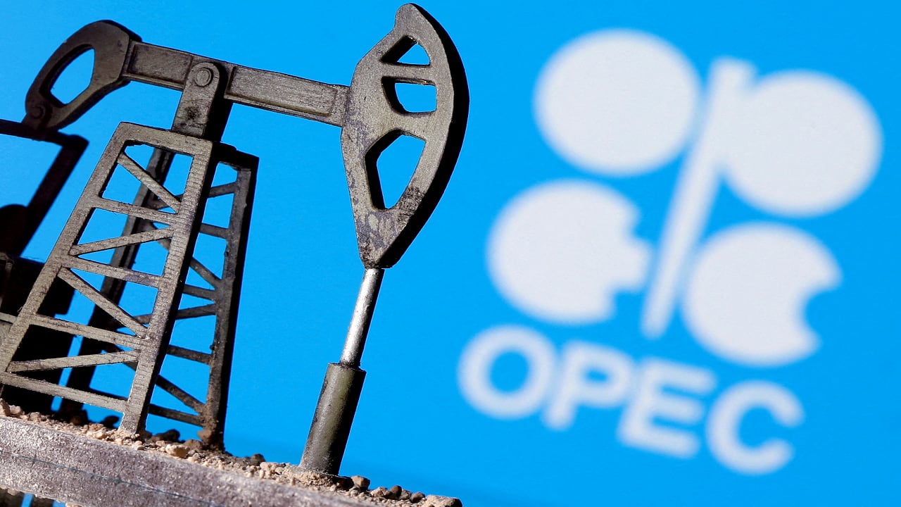 OPEC+ to agree small output hike for December, delegates say