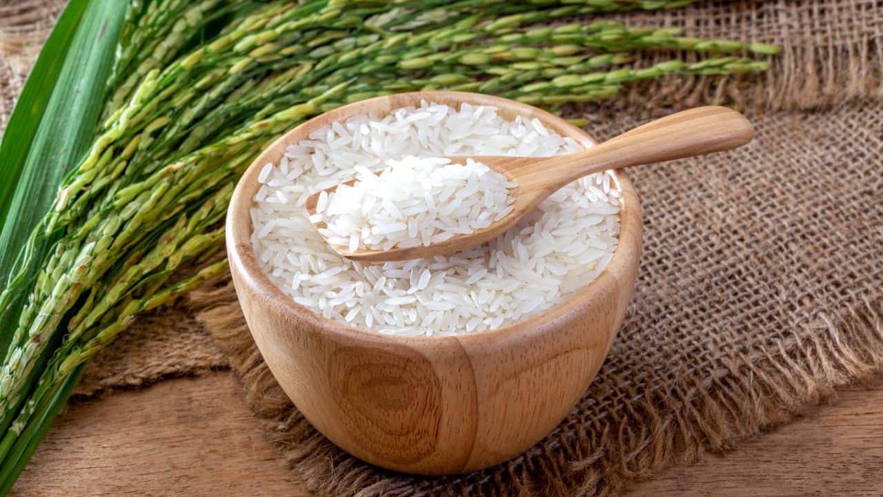 8. Rice or Grains: Purchasing rice or other grains for donation or consumption is considered a sacred act. Grains are symbolic of sustenance and abundance and buying them on Sharad Purnima enhances your food supply and invites prosperity. [Image: Canva]