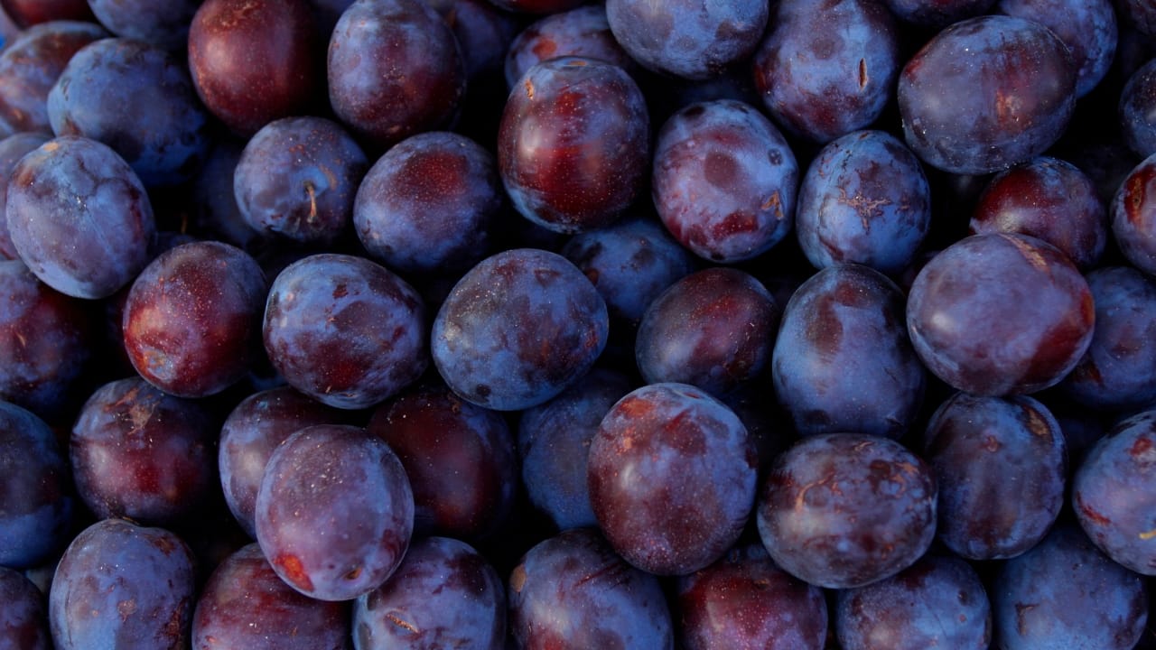 Health benefits of plums: Boost heart health, keep bones strong, control blood sugar levels