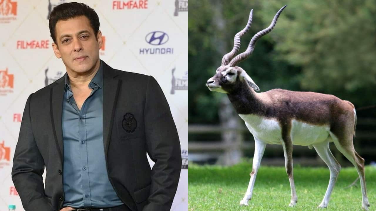 When Salman Khan denied being the one who killed the Blackbuck; saying, " I wasn’t the one who shot the blackbuck"