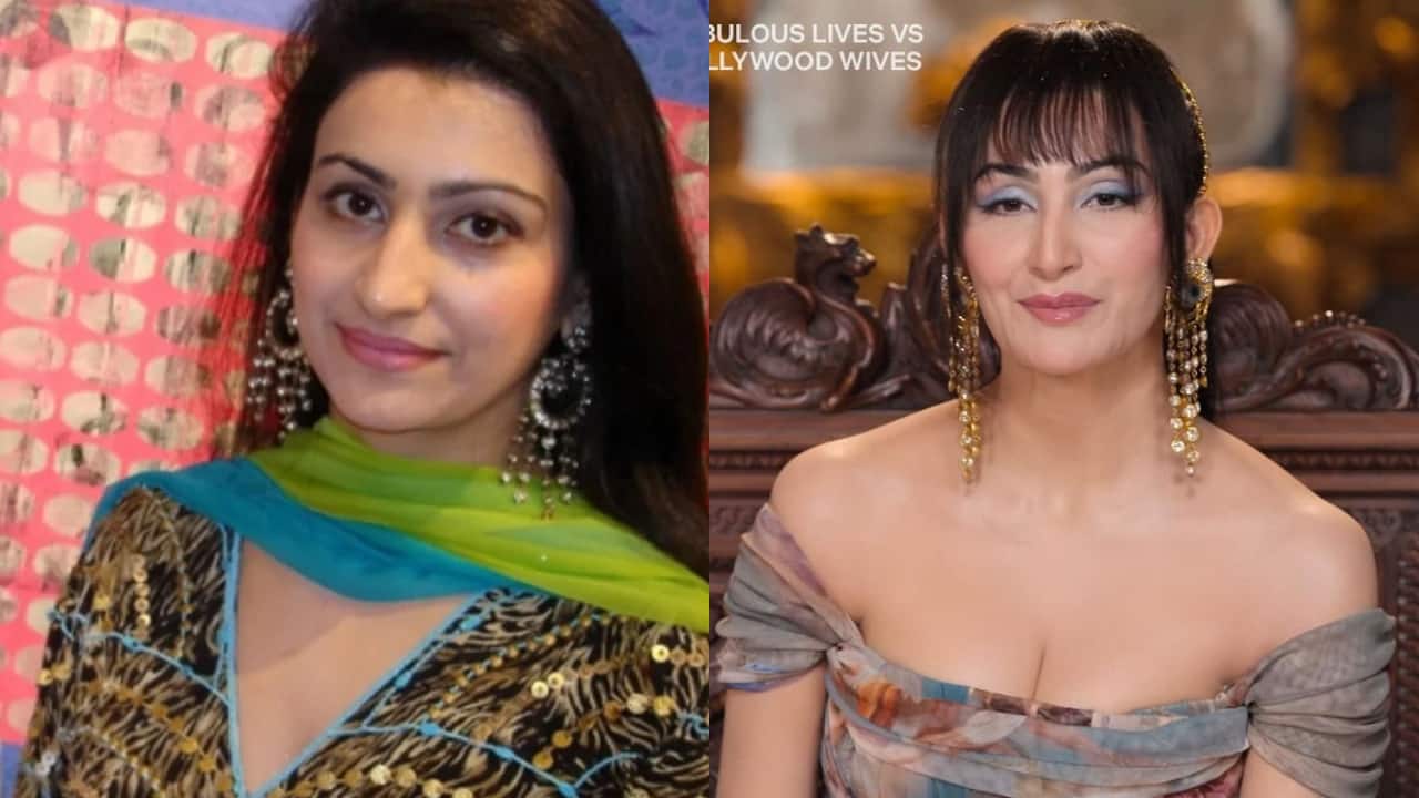 Fabulous Lives Vs Bollywood Wives fame and entrepreneur Shalini Passi's old pics go viral, fans praise her beauty
