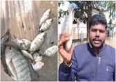 Bengaluru rains: Yelahanka residents make use of flooded streets to catch fish. Watch
