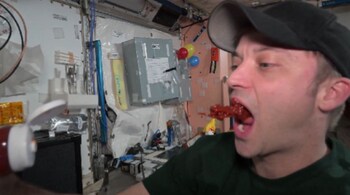 The other astronauts on board giggle at his antics, making the video even more amusing. (Image: @dominickmatthew)