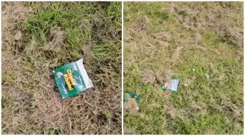 Chaini Khaini packets lying on a turf of grass in UK. (Images: screenshots from video @anurag_in_uk/Instagram)