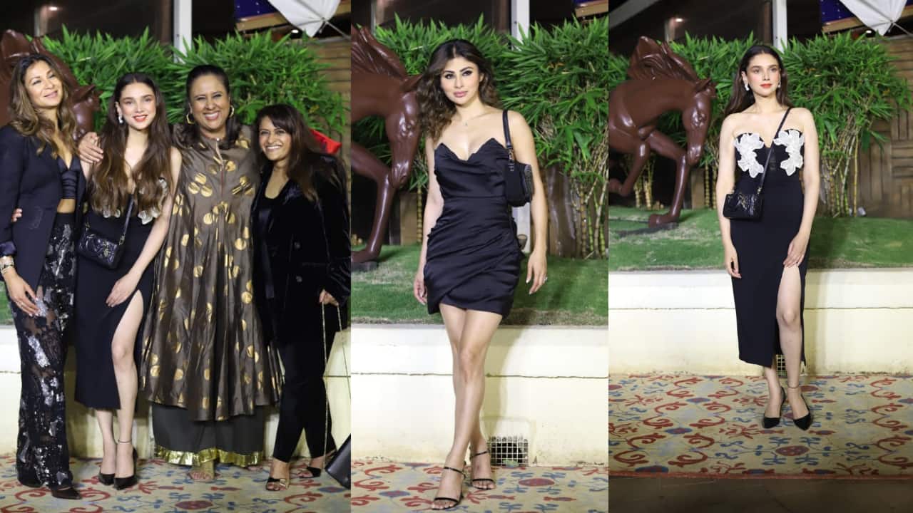 Rohini Iyer hosts a high-profile dinner get-together for Hollywood bigwigs