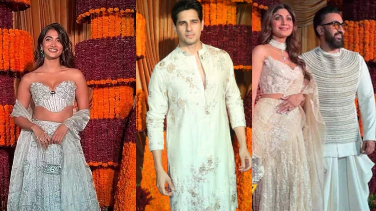 From Tamannaah's 'desi princess' look to Sharvari's 'Rajkumari look': watch celebs who dazzled at Ramesh Taurani's Diwali party