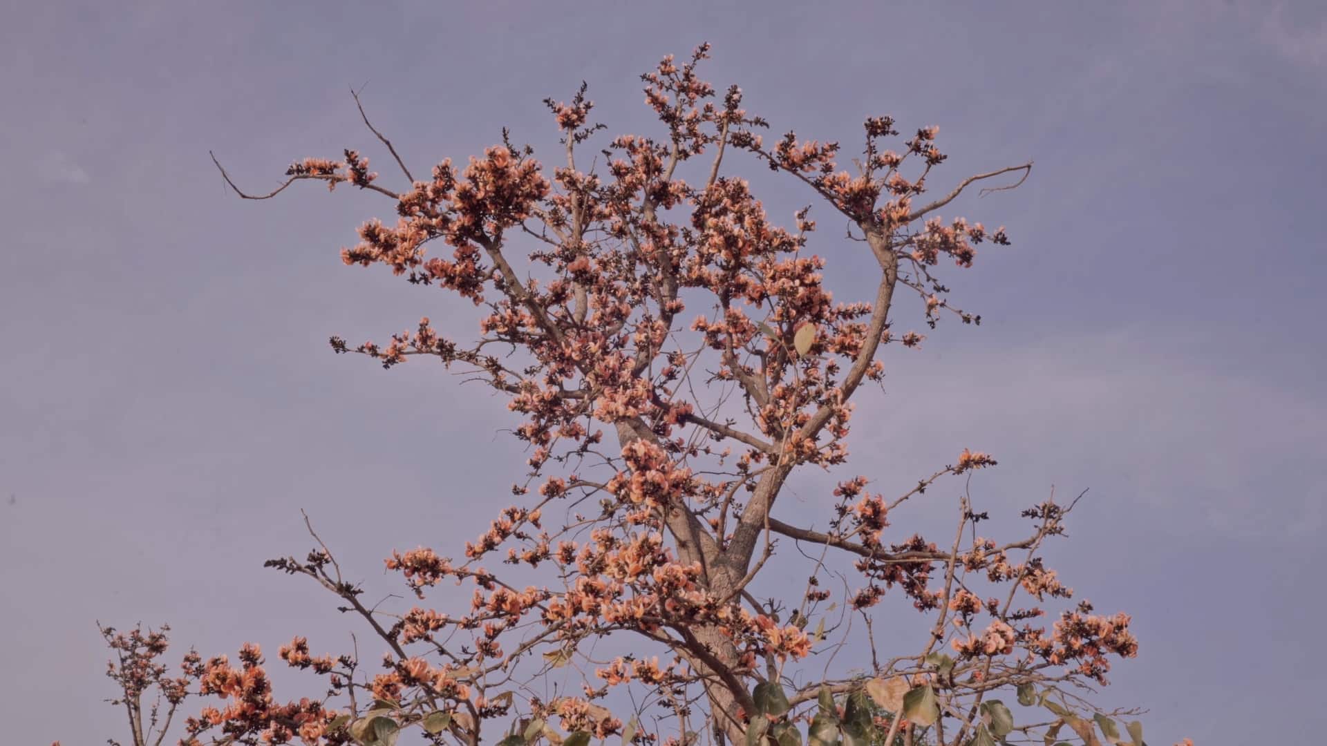 A still from the film.