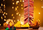 Diwali 2024: How to make Diwali stress-free and safe for your pet dogs