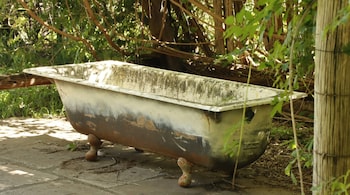 The police said that the body had been decomposing in the bathtub for about three months. (Representational image: Unsplash)