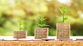 RBI holds rate steady, here is what it means for your fixed deposits