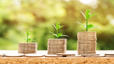 Fixed Deposits