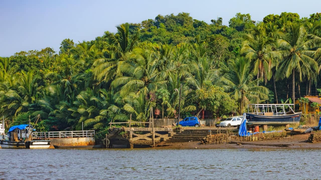 Chorao Island in Goa: A Hidden Gem for Nature Lovers