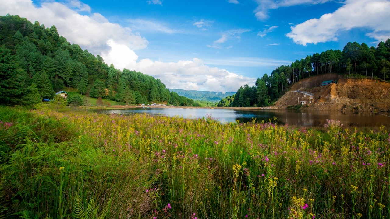 Ziro Valley in Arunachal Pradesh: A Paradise for Peace Seekers and Adventure Lovers