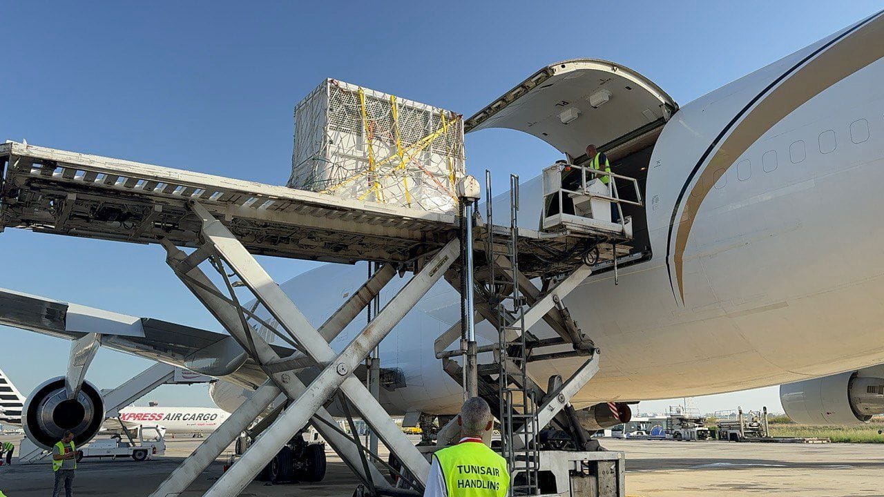 WhatsApp Image 2024-11-01 at 7.37.02 AM