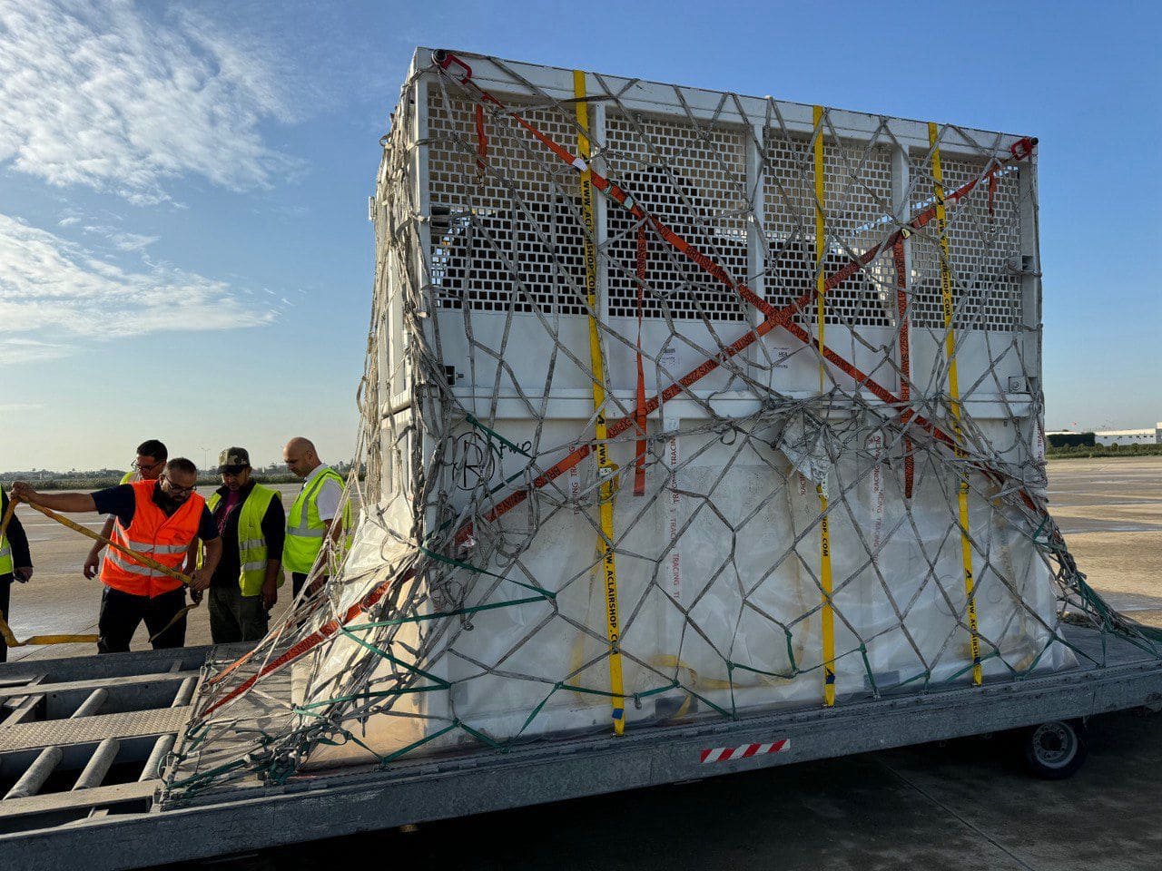 WhatsApp Image 2024-11-01 at 7.37.03 AM