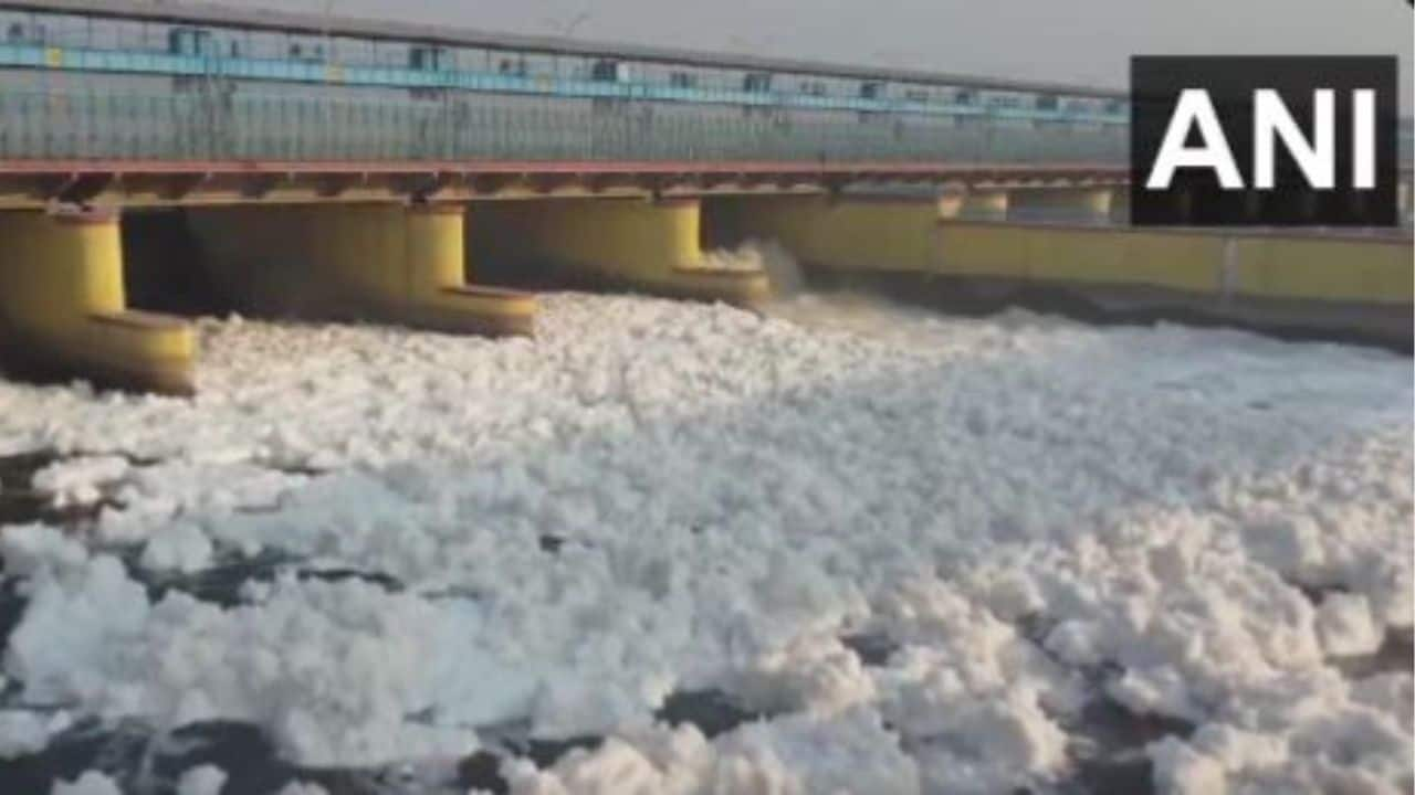 Watch: Toxic foam covers Yamuna River as Delhi celebrates Diwali