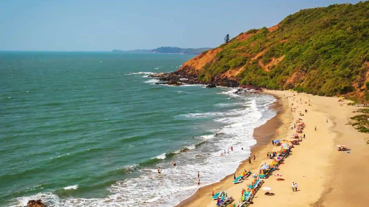 Goa to host the inaugural edition of the Green Stories documentary festival