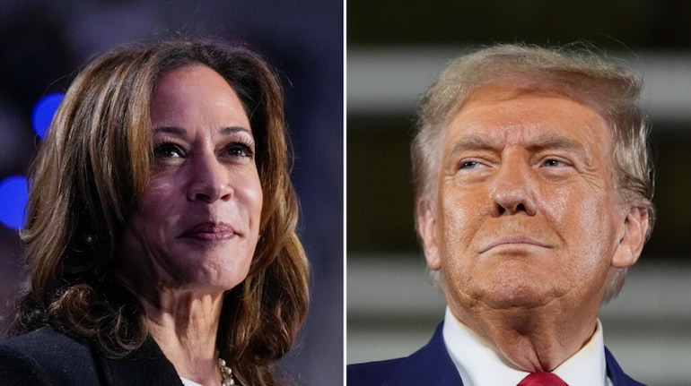 Trump vs Harris: All about 7 swing states that could decide the winner of US elections