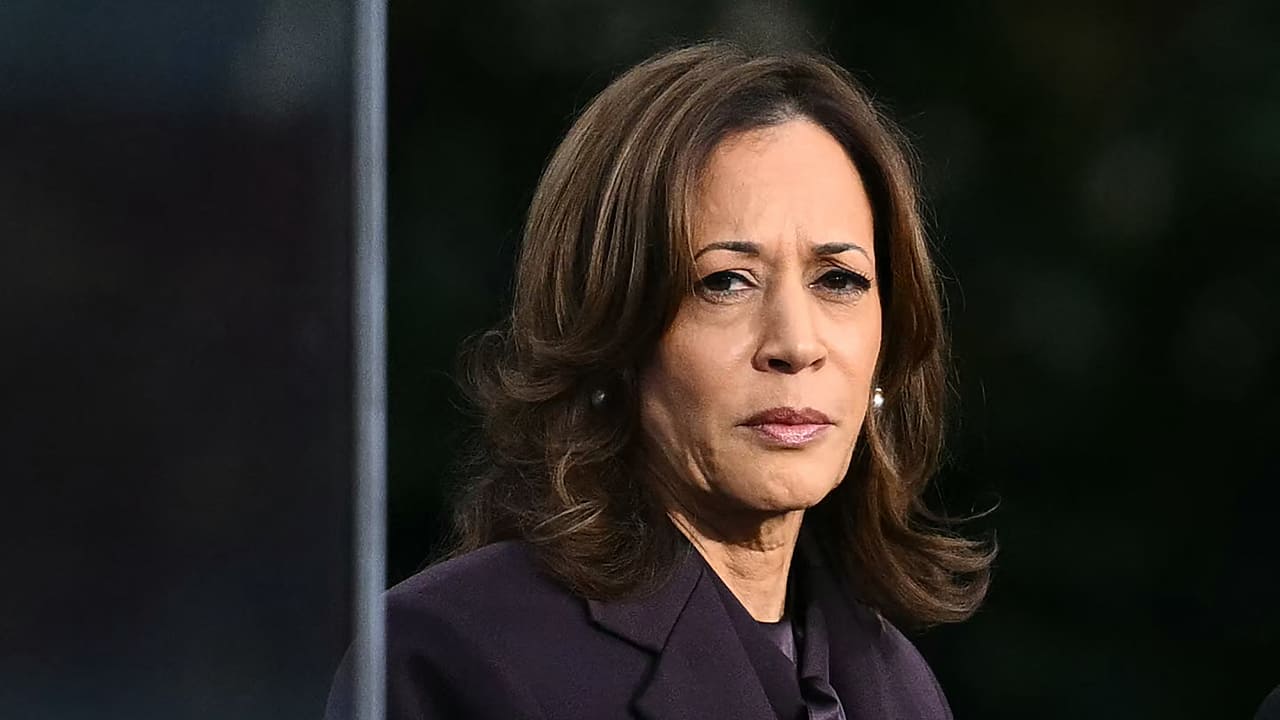 Biden aides warned donors Harris would be a ‘mistake’ as nominee, new book reveals
