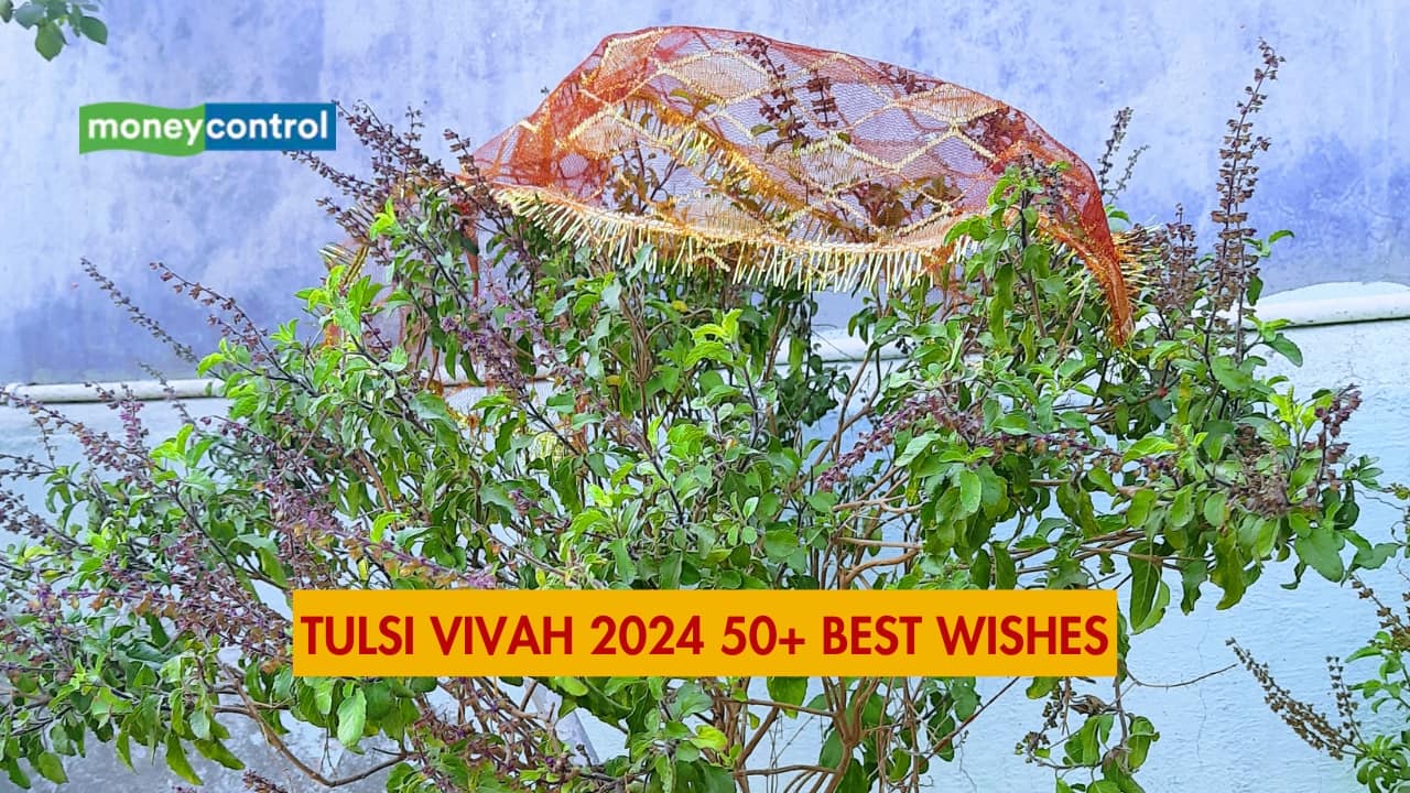 Tulasi Vivah 2024 Wishes: 50+ Best Greetings, Quotes, and social media status to Honor the Divine Marriage of Lord Vishnu and Tulsi