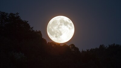 Moon