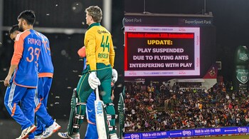 IND vs SA 3rd T20I: After bees, flying ants halt play