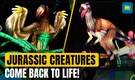Paris light display brings dinosaurs, primitive birds and giant sea creatures back to life | N18G