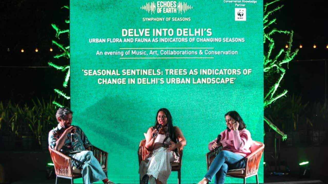 Music band Zenguin performed at the Echoes of Earth music festival in Delhi